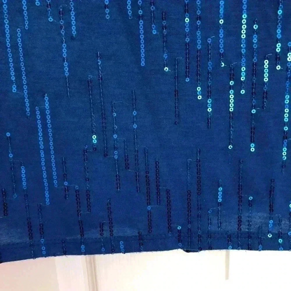 Carol Rose Blue Sleeveless Sequin Top  Size Small - Picture 2 of 11